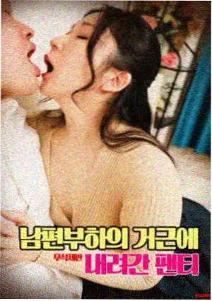 电影柜藏品图鉴，胶片盒与标签抽屉